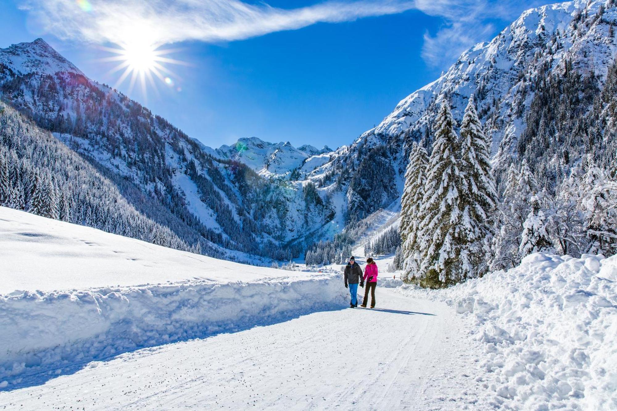 Bio-Holzhaus Und Landhaus Heimat Ramsau am Dachstein Exterior photo