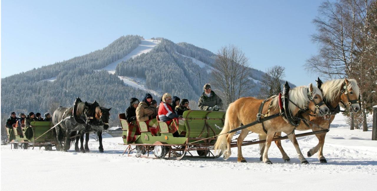 Bio-Holzhaus Und Landhaus Heimat Ramsau am Dachstein Exterior photo